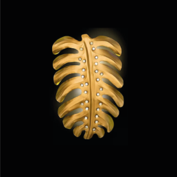 ARANDELA-COSTELA-DE-ADÃO